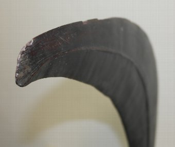 Antique 19th century Solomon Island parrying shield qauata