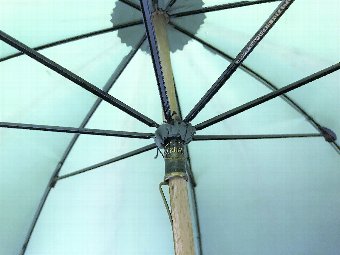 Antique A 19th Century Green Parasol with Ivory Handle