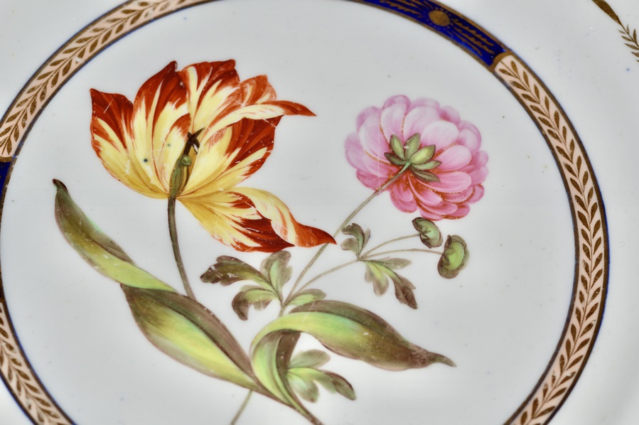 Antique A Spode Botanical Cabinet Plate, Early 19th Century, Pattern no 2789