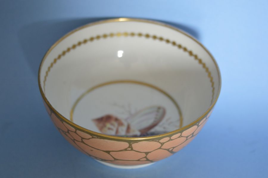 Antique Coalport Salmon-Pink-Ground Waste-bowl, c.1815.by Thomas Pardoe