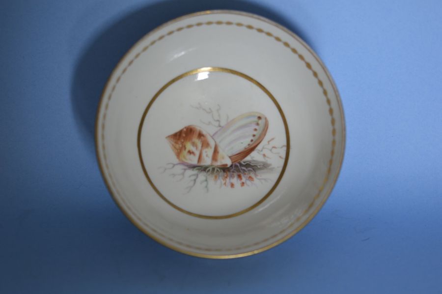 Antique Coalport Salmon-Pink-Ground Waste-bowl, c.1815.by Thomas Pardoe