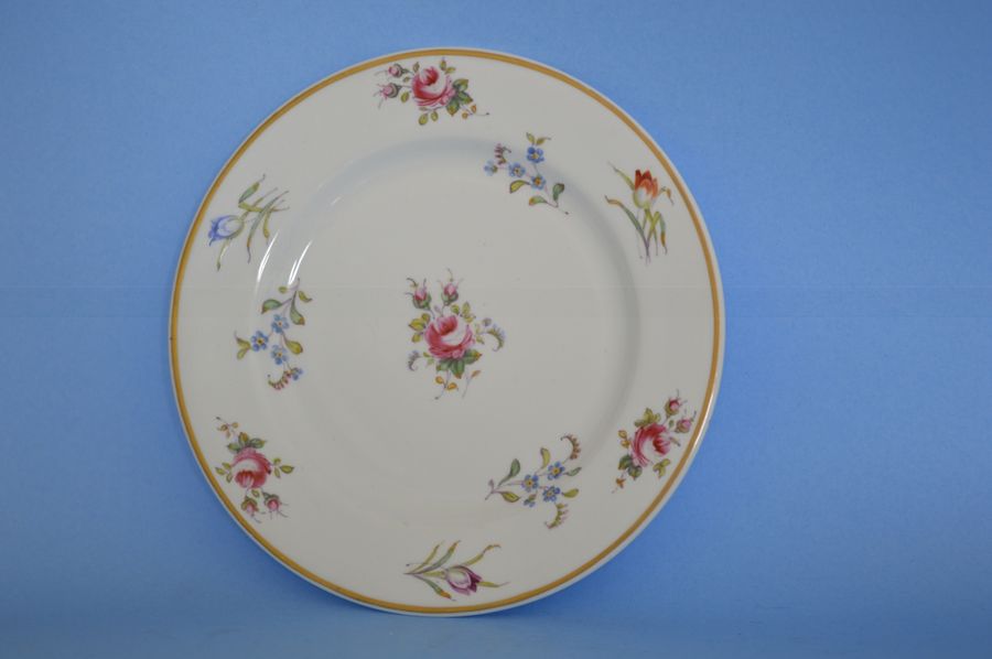 Delightful Early 19th Century Swansea Porcelain Plate