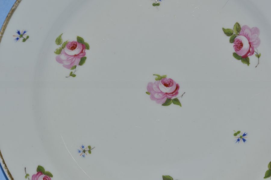 Antique Early 19thC Swansea porcelain plate, possibly by William Billingsley