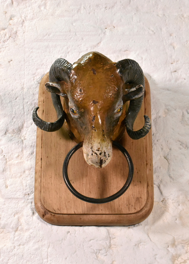 Antique Antique French Ram's Head from Butcher's Shop (19C)