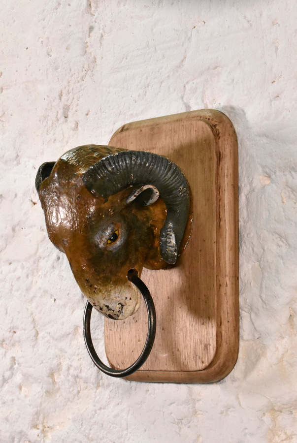 Antique Antique French Ram's Head from Butcher's Shop (19C)