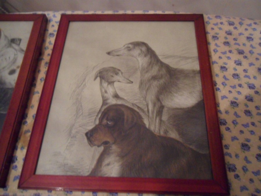 Antique GREYHOUNDS HUNTING DOGS