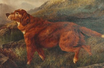 Antique Antique, Victorian, Oil, Painting. Irish Setter. Gun Dog. 