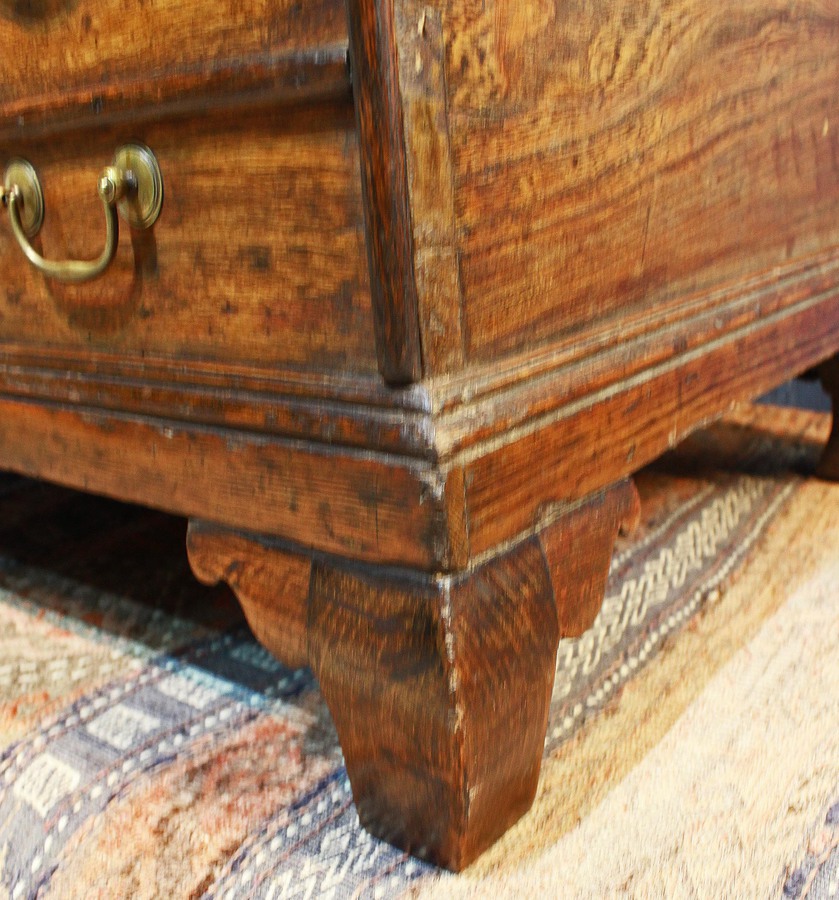 Antique 19th Century Country Elm Trunk
