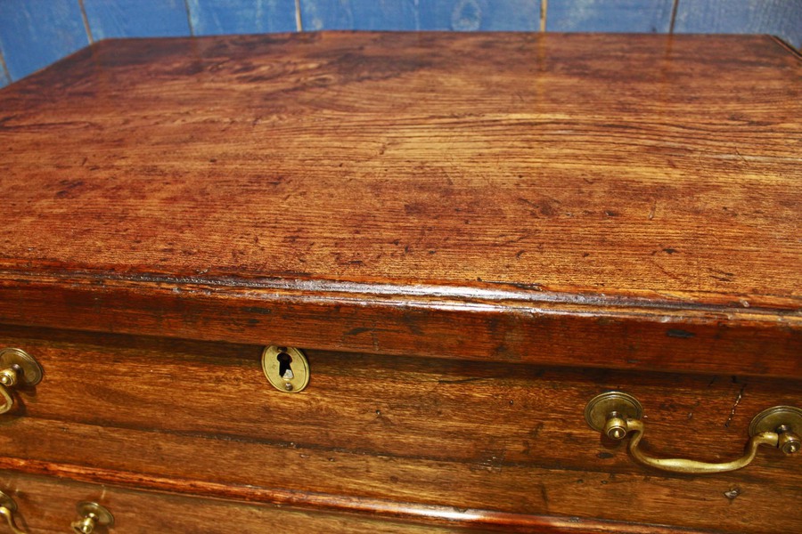 Antique 19th Century Country Elm Trunk