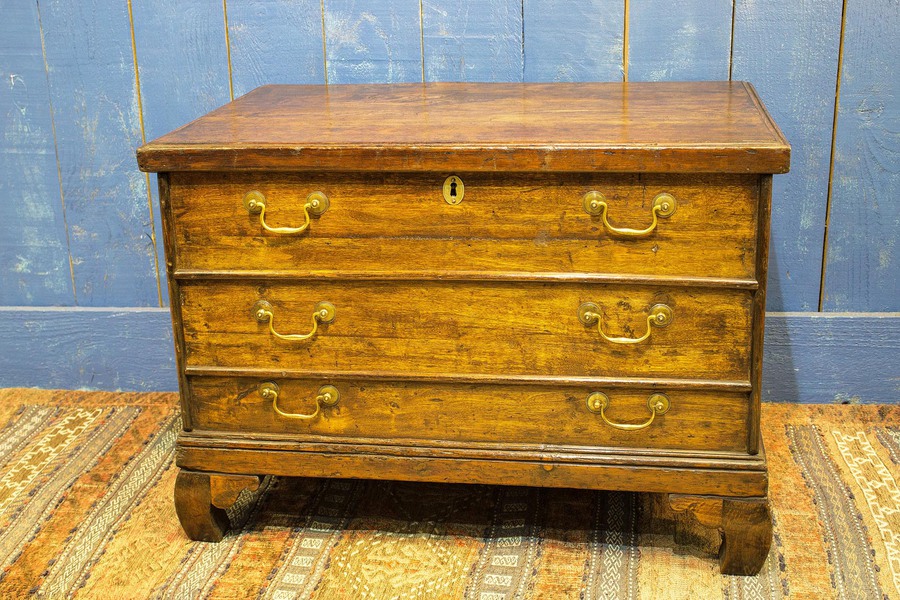 19th Century Country Elm Trunk