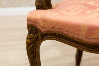 Antique Neo-Rococo Suite from the Late 19th c. (Circa 1880)