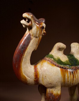 Antique  An original Beautiful Sancai glazed Tang camel,