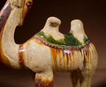 Antique  An original Beautiful Sancai glazed Tang camel,