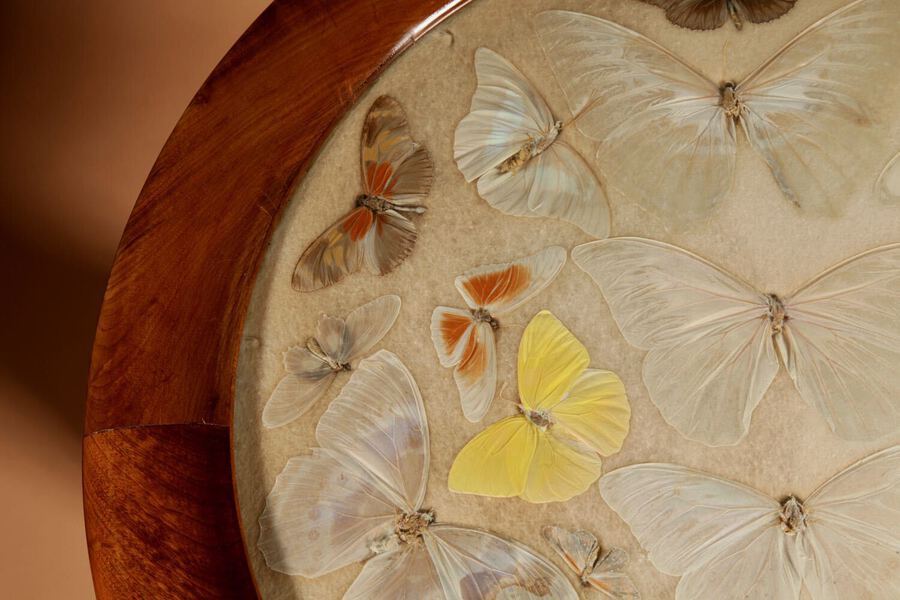 Antique  A Brazilian Butterfly Table, Circa 1900-20
