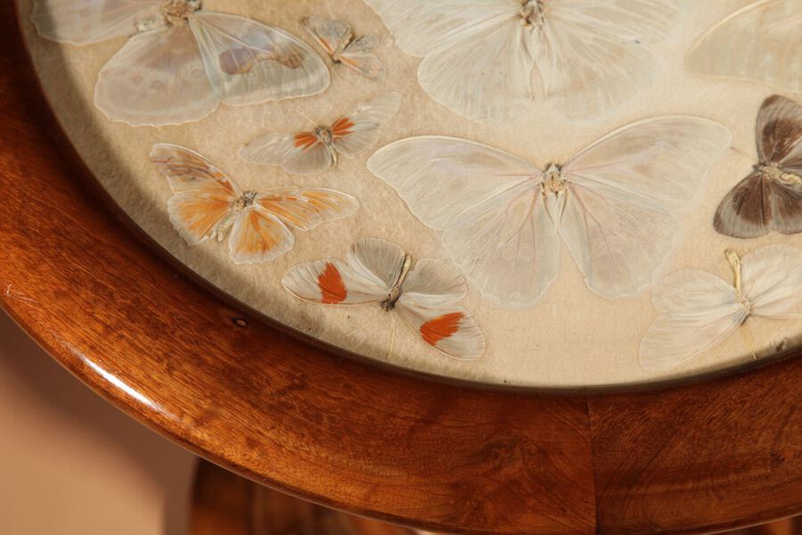 Antique  A Brazilian Butterfly Table, Circa 1900-20