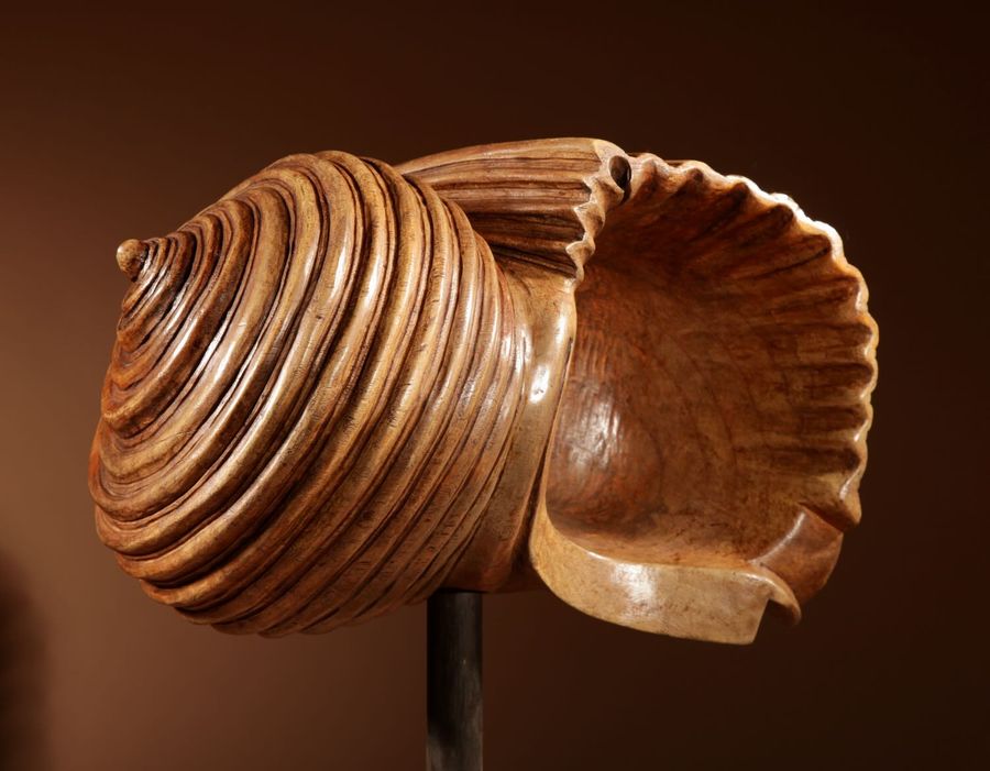 Antique Exceptional “kunstkammer” Education Model of A Carved Walnut Turbo Shell. (Marmarostoma Artensis)