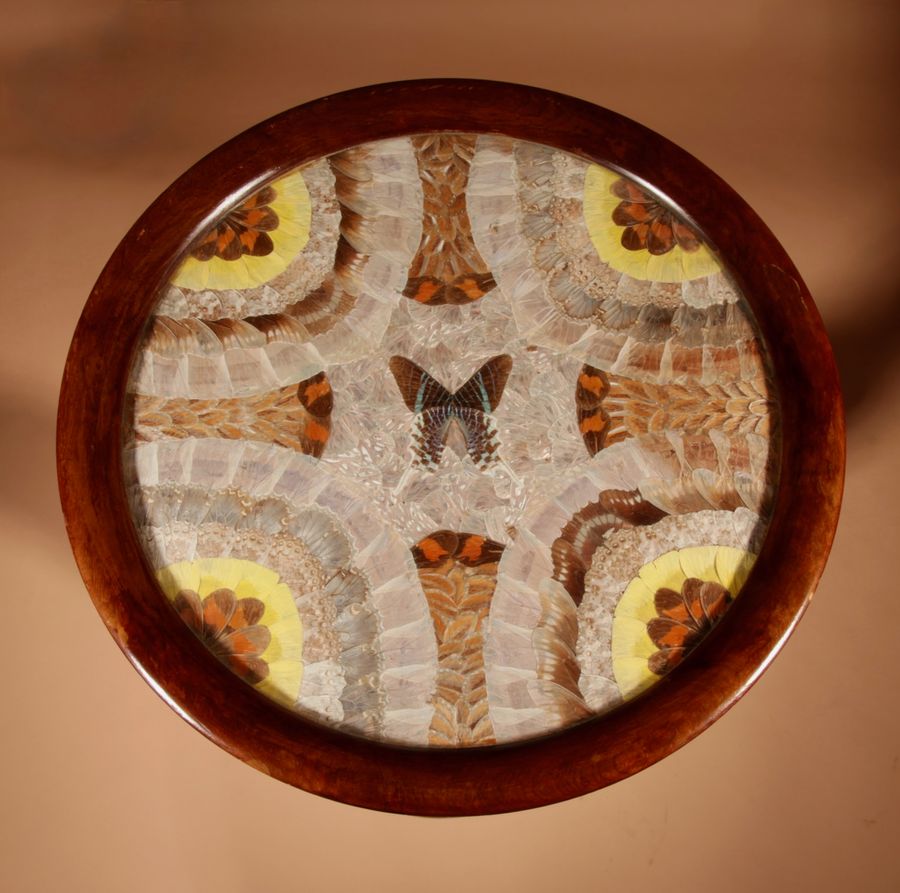 Antique A Brazilian Butterfly Table, Circa 1900-20