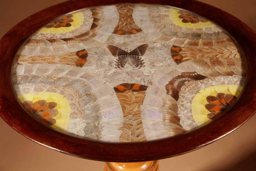 Antique A Brazilian Butterfly Table, Circa 1900-20