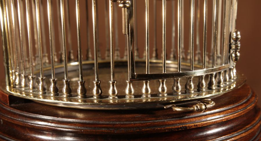 Antique Impressive And Beautiful Walnut And Brass Birdcage Continental Circa 1920-40.