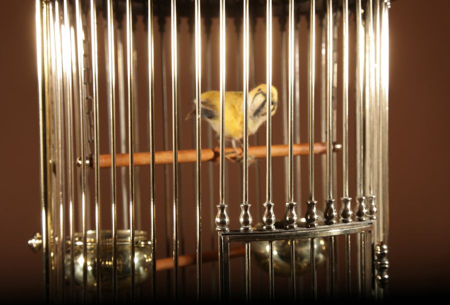 Antique Impressive And Beautiful Walnut And Brass Birdcage Continental Circa 1920-40.