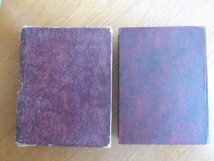 Antique A Rare Burgundy Hardback Heath Robinsons Book Of Goblins with Original Sleeve