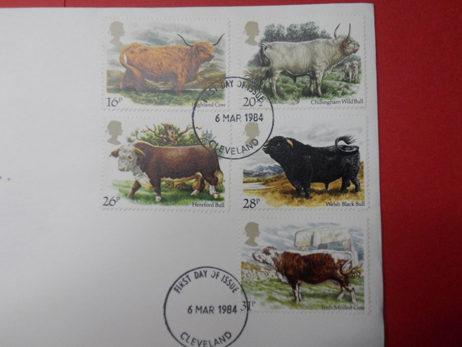 Antique 1984 First Day Cover of Cattle Royal