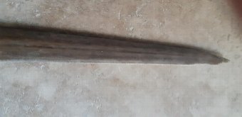 Antique Swordfifh scrimshaw