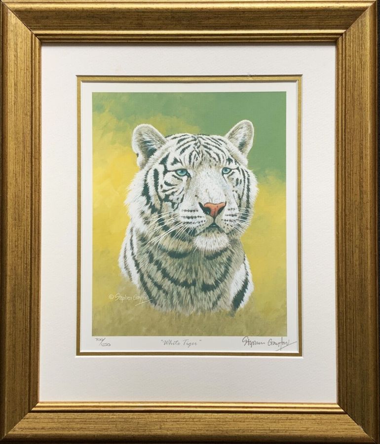 Antique Stunning Pair Signed Limited Edition Tiger & Jaguar Portrait Prints No 700/1250