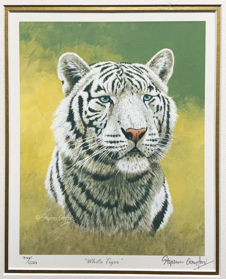Antique Stunning Pair Signed Limited Edition Tiger & Jaguar Portrait Prints No 700/1250