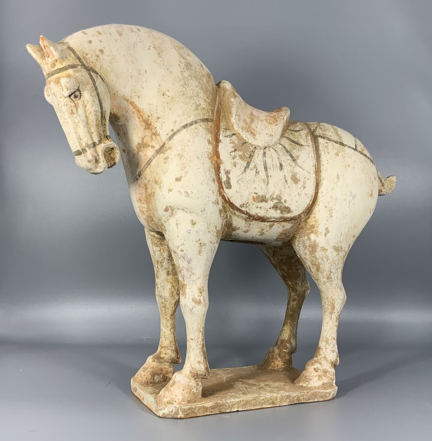 A RARE 8th-9th-CENTURY TANG DYNASTY CHINESE POTTERY HORSE Inc: TL AUTHENTICATION