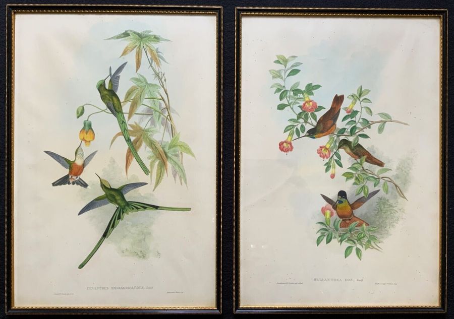 Antique Beautiful Pair 19th Hand-Coloured Engravings By Henry Sotheran LTD, Piccadilly