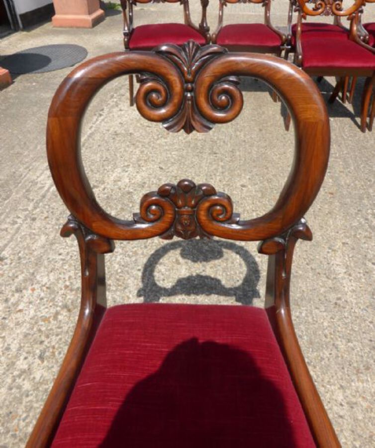 Antique Set of 8 William IV Solid Rosewood Dining Chairs