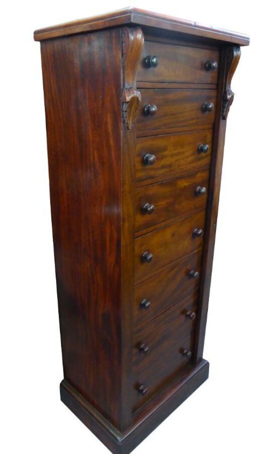 Antique Victorian Mahogany Wellington Chest