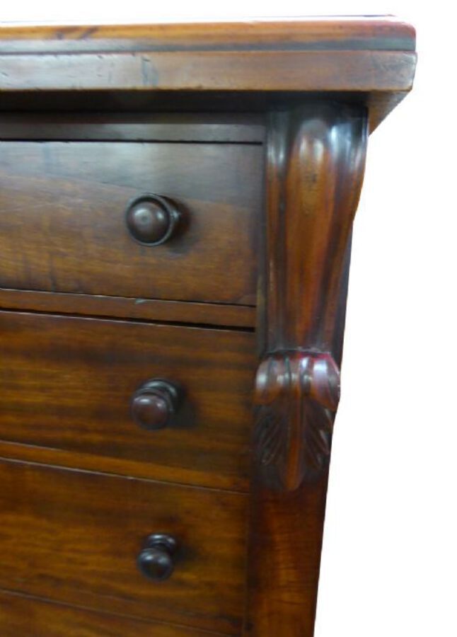 Antique Victorian Mahogany Wellington Chest
