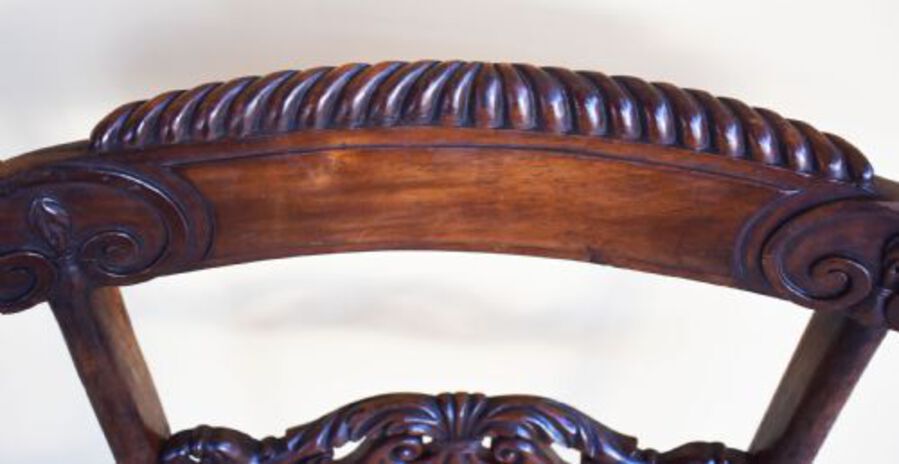 Antique Set of 6 Regency Rosewood Dining Chairs