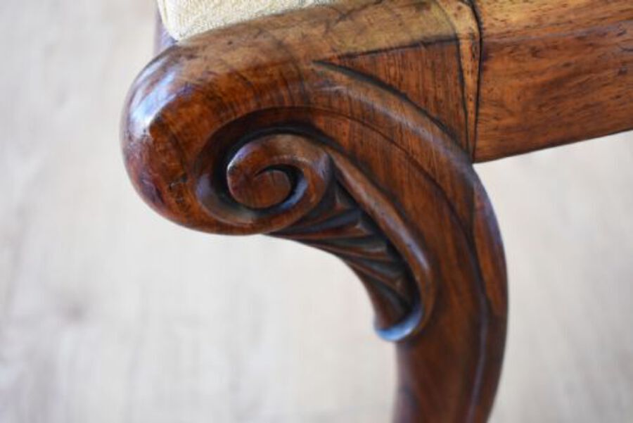 Antique Set of 6 Regency Rosewood Dining Chairs
