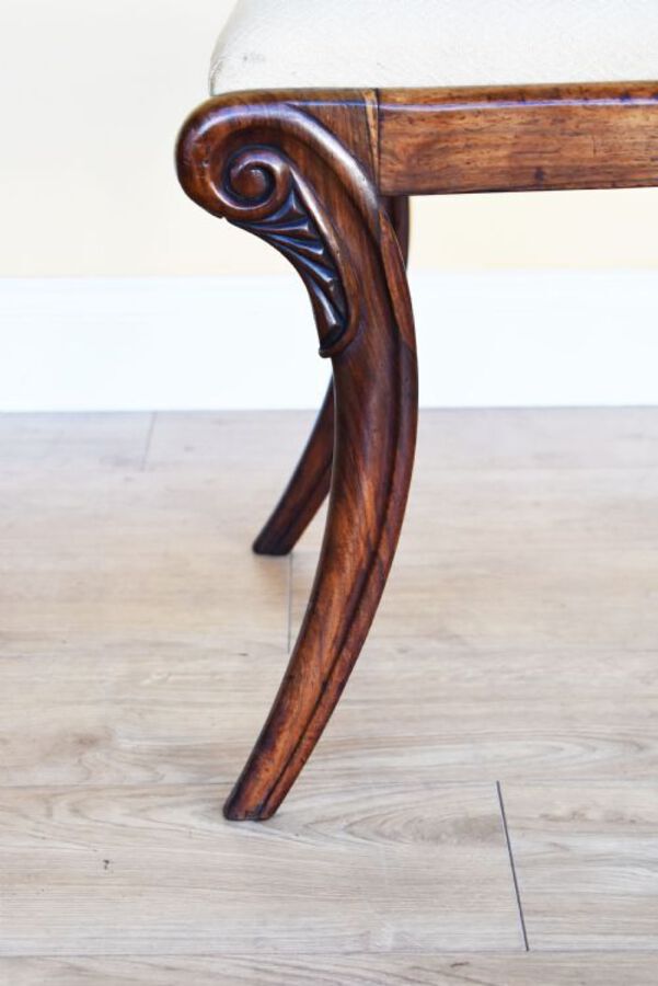 Antique Set of 6 Regency Rosewood Dining Chairs
