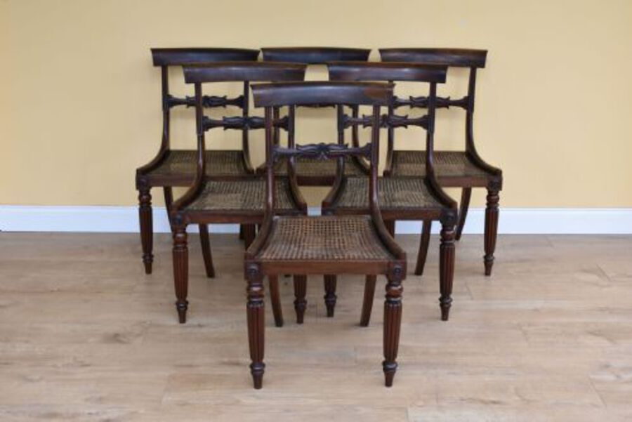 Antique Set of 6 William IV Rosewood Dining Chairs