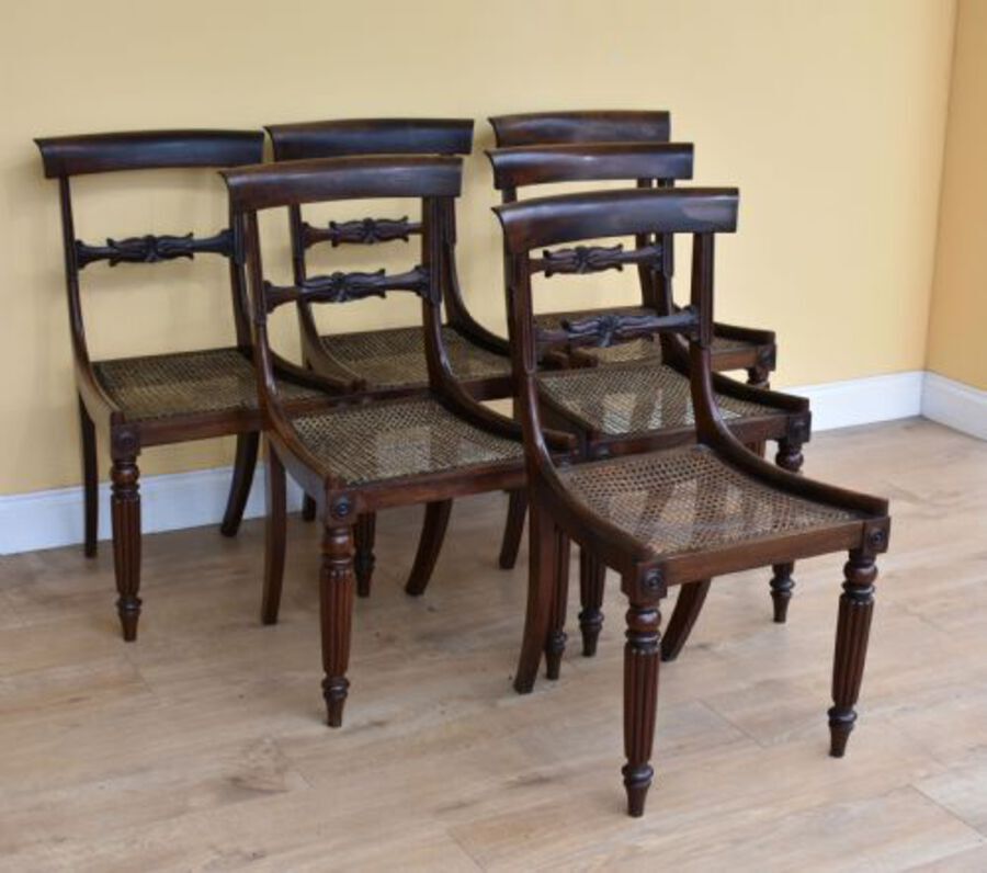 Antique Set of 6 William IV Rosewood Dining Chairs