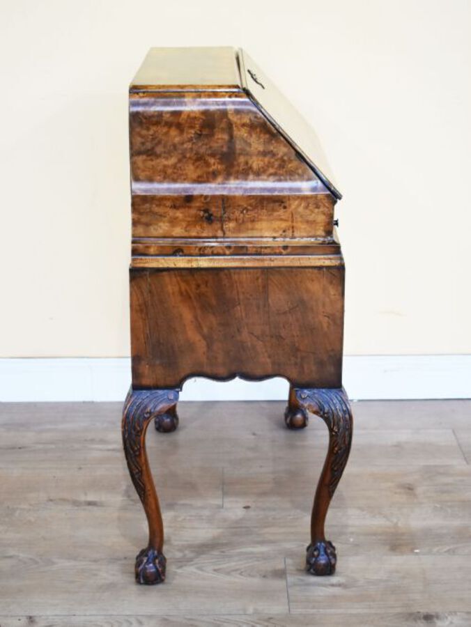 Antique 20th Century Queen Anne Revival Burr Walnut Bureau