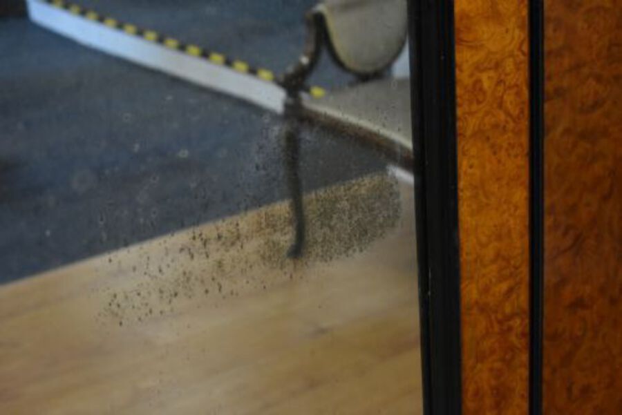 Antique 19th Century Victorian Burr Walnut Wardrobe