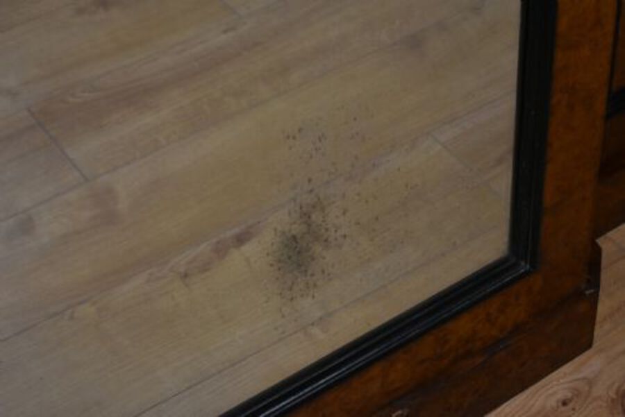 Antique 19th Century Victorian Burr Walnut Wardrobe