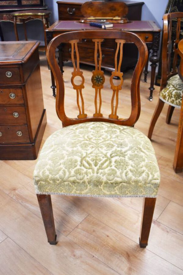 Antique 20th Century Sheraton Style Satinwood & Painted Dining Suite