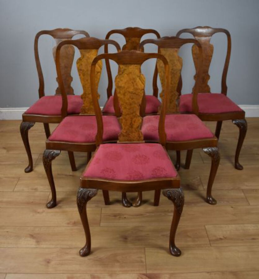Antique 20th Century Queen Anne Style Burr Walnut Dining Suite