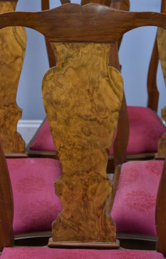 Antique 20th Century Queen Anne Style Burr Walnut Dining Suite