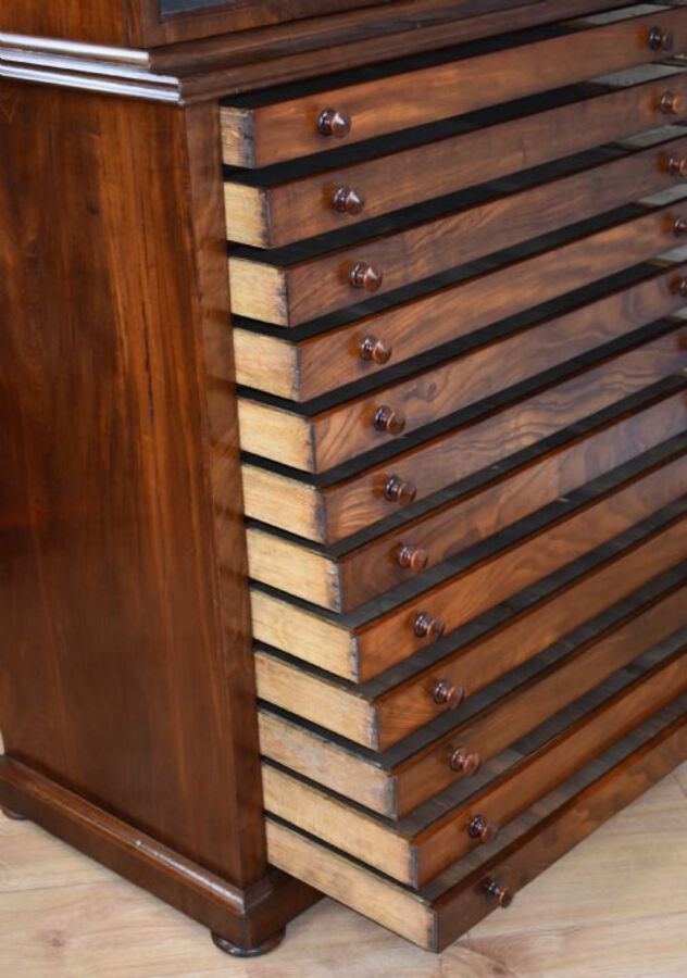 Antique 19th Century Victorian Mahogany Collectors Chest