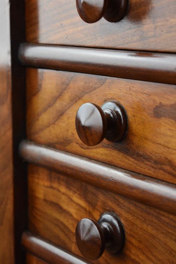 Antique 19th Century Victorian Mahogany Collectors Chest