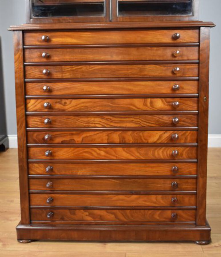 Antique 19th Century Victorian Mahogany Collectors Chest