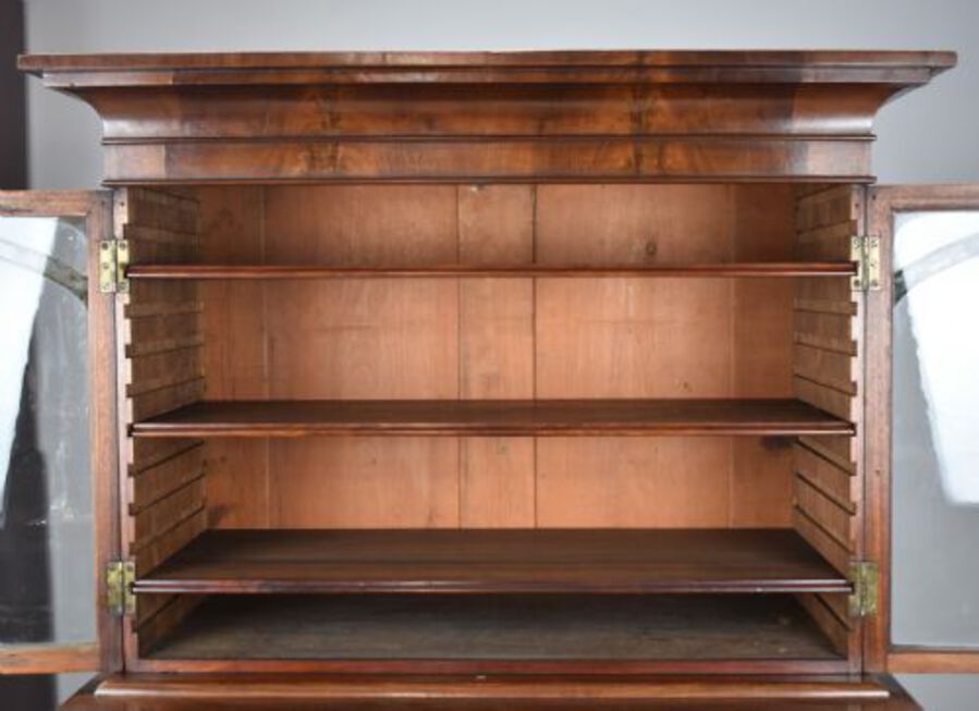 Antique 19th Century Victorian Mahogany Collectors Chest