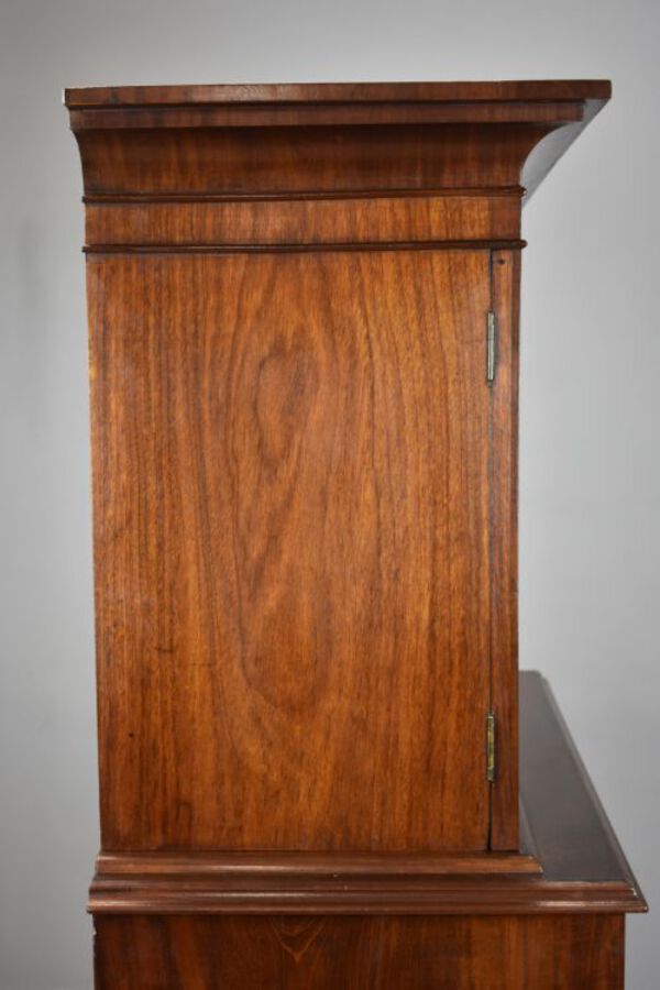 Antique 19th Century Victorian Mahogany Collectors Chest